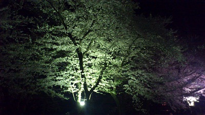 花巻温泉,岩手県温泉,赤ちゃん温泉,カップル温泉