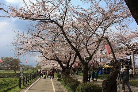 北上展勝地 さくらまつり