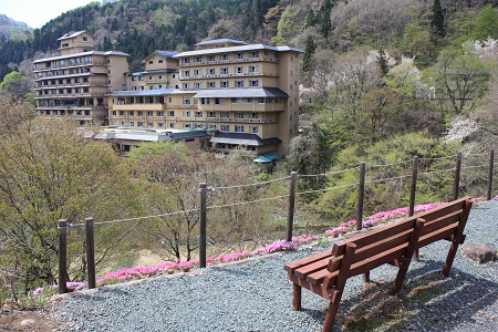 春爛漫　愛隣館　庭園