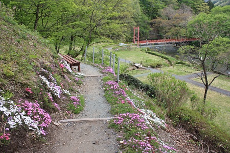 結びの宿　愛隣館　庭園